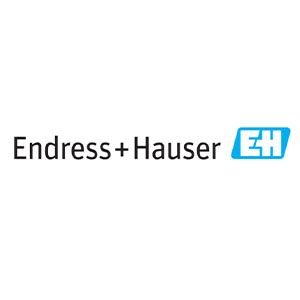 logo Endress + Hauser